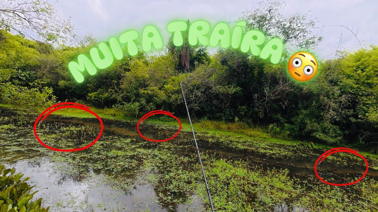 CAMPO MINADO DE TRA&Iacute;RA 💥 PESCARIA COM A VARA DA TR FISHING ! 🔥