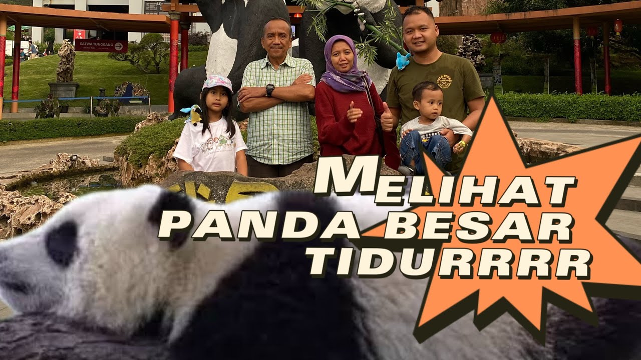 APA!!!! Ada PANDA di BOGOR Jawa Barat 