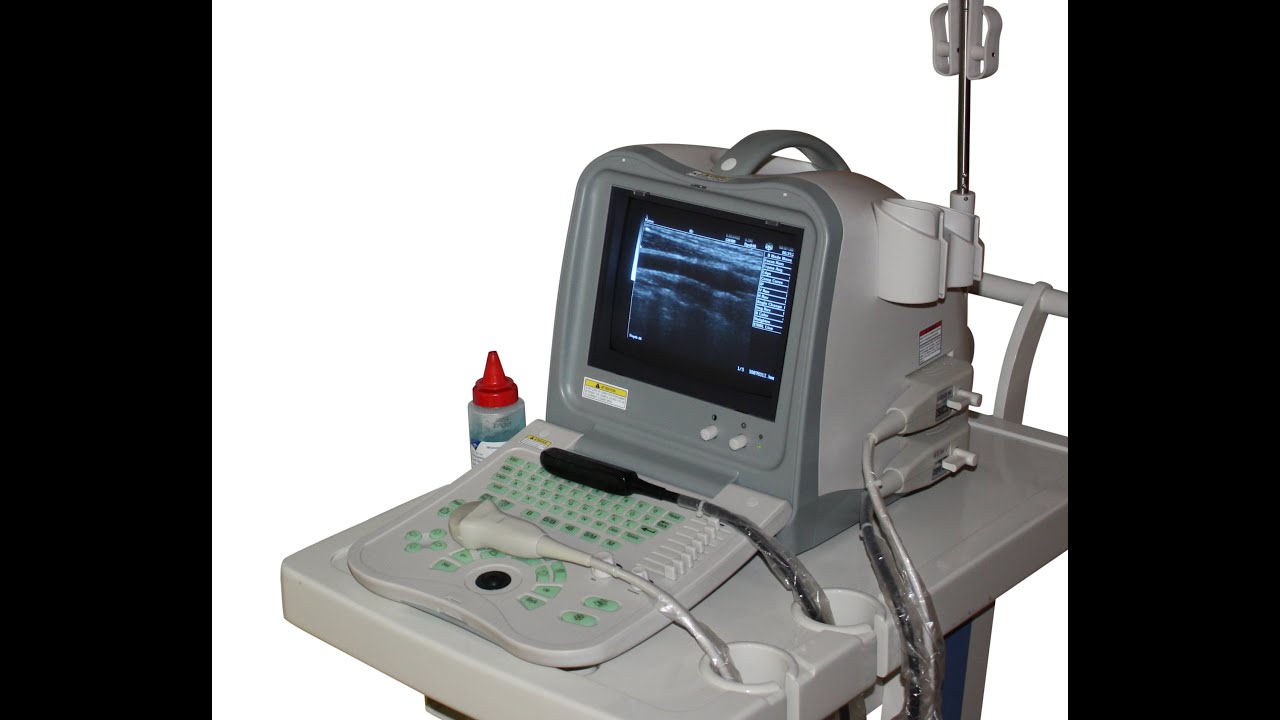 Most affordable Equine,Horse ultrasound KX2600- Only $1999