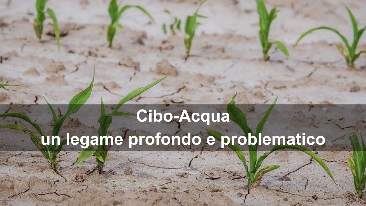 Cibo-Acqua: un legame profondo e problematico
