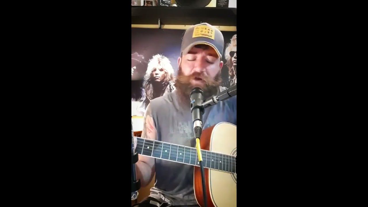 Sound of Silence - Simon & Garfunkel [COVER by Vinny Fist]