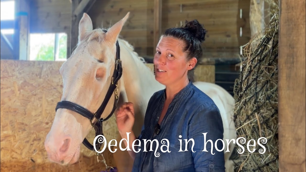 When horses get sick