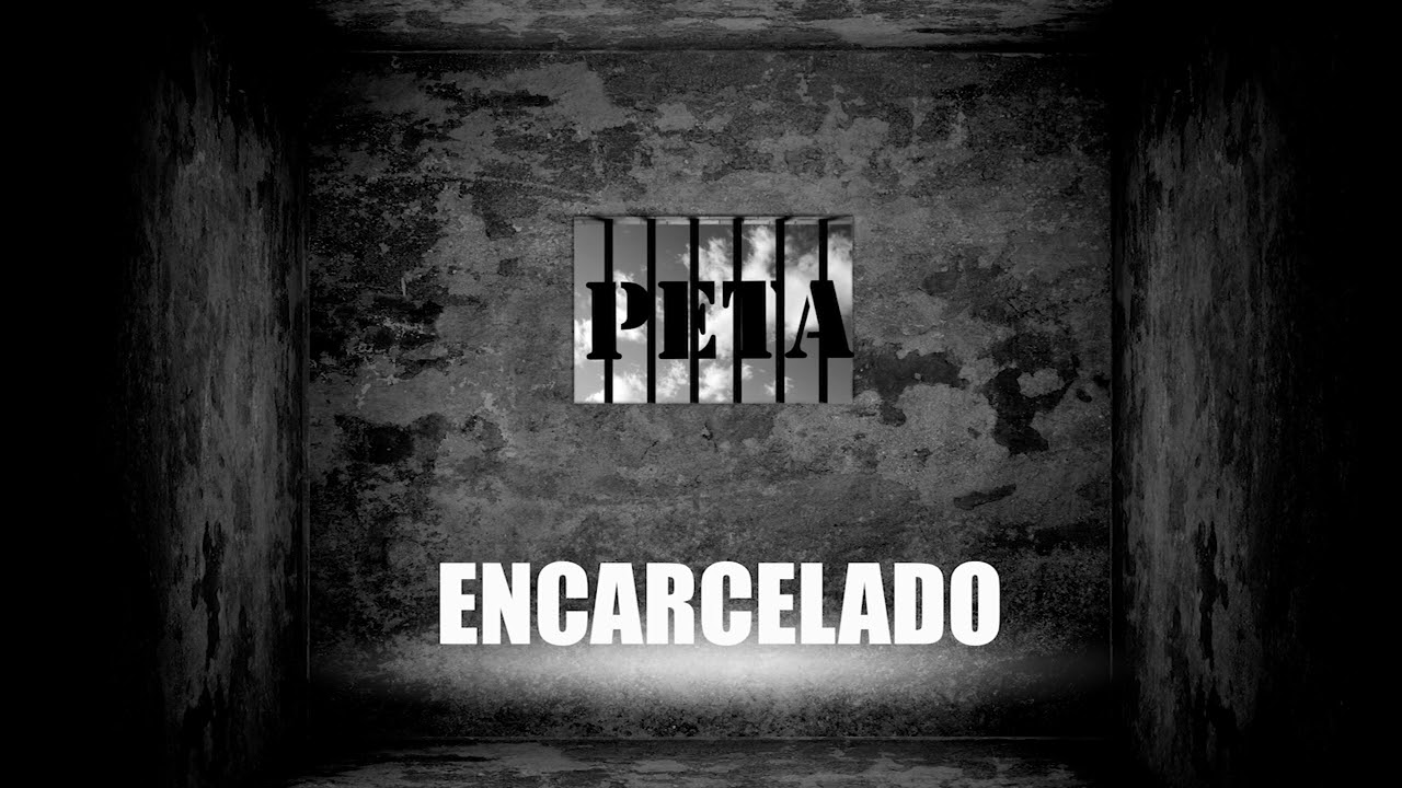 Peta - Encarcelado    Angeloso x Chinoplakingbol x Kevin (Audio Oficial)