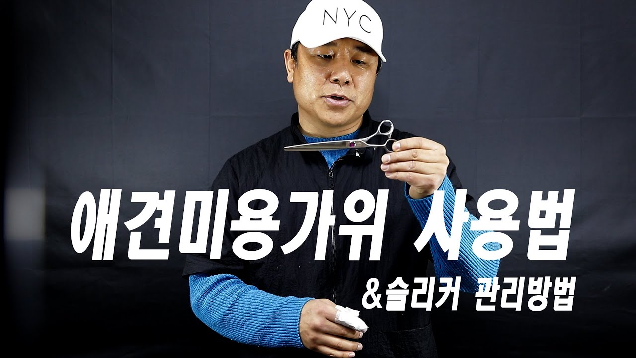 004 #수원애견미용학원 - 애견미용가위 잡는방법,사용법