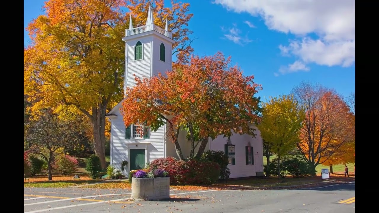 Favorite Fall Foliage Photos