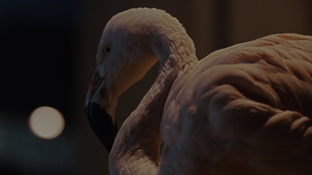 Hurts - Somebody (Official Video)