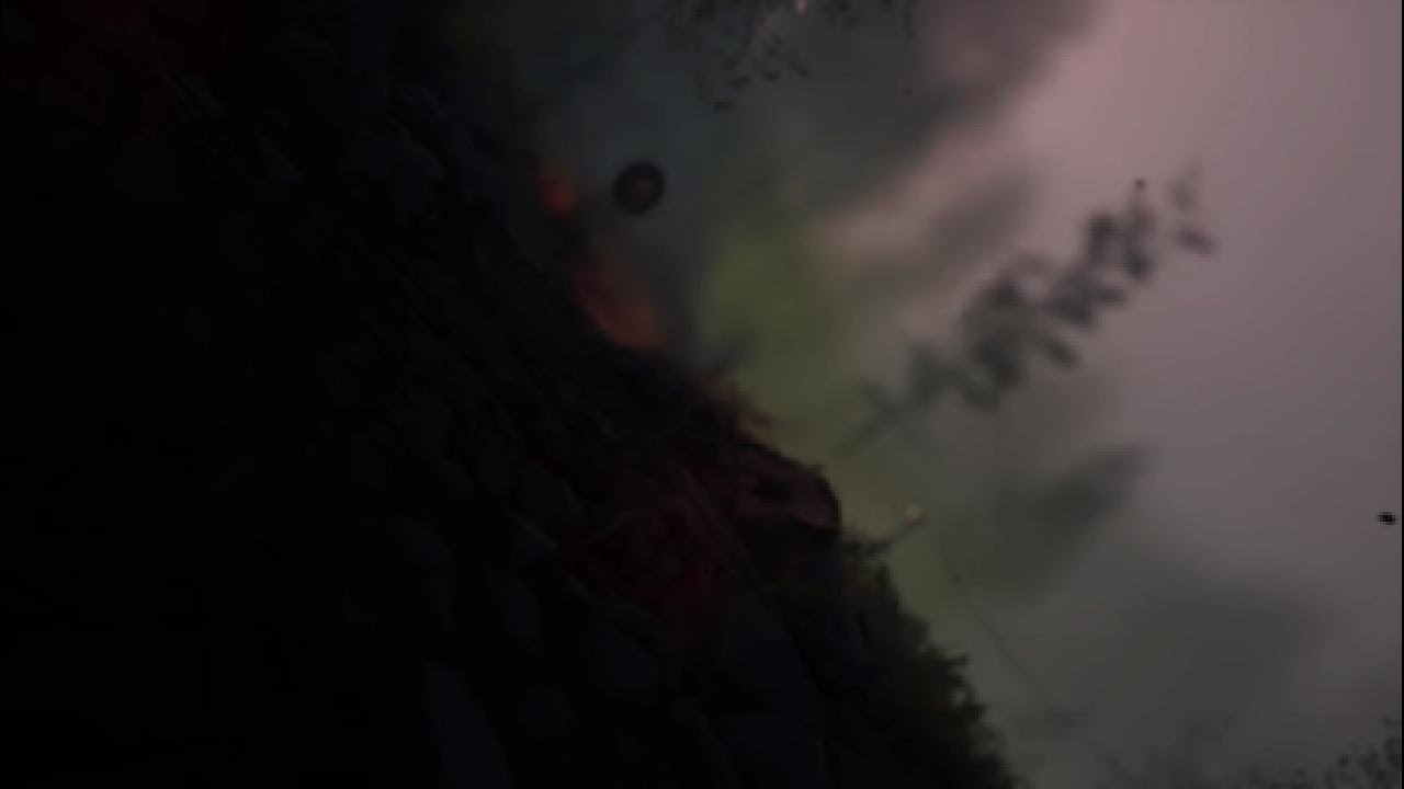 Remnant