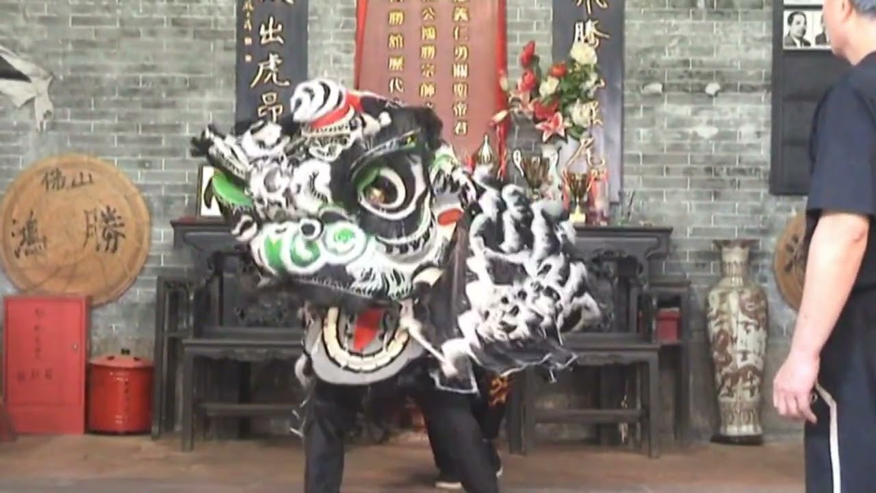 佛山传统舞狮，讲解舞狮动作。