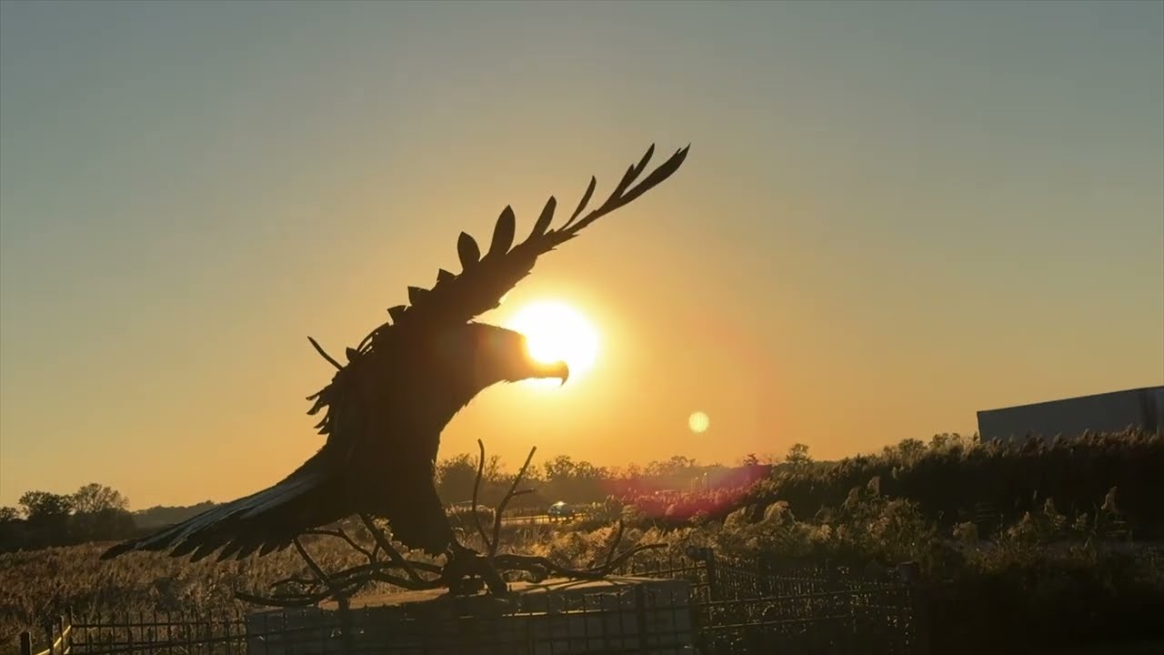 Montezuma National Wildlife Refuge - New York #fredrickstravel