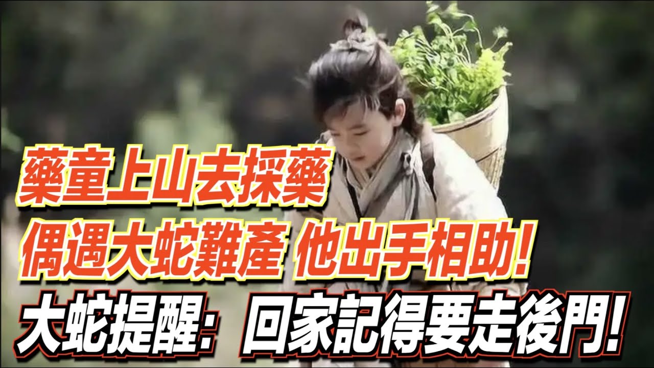 藥童上山去採藥，偶遇大蛇難產，他出手相助！事後大蛇提醒：回家記得要走後門！ ｜道聽途說