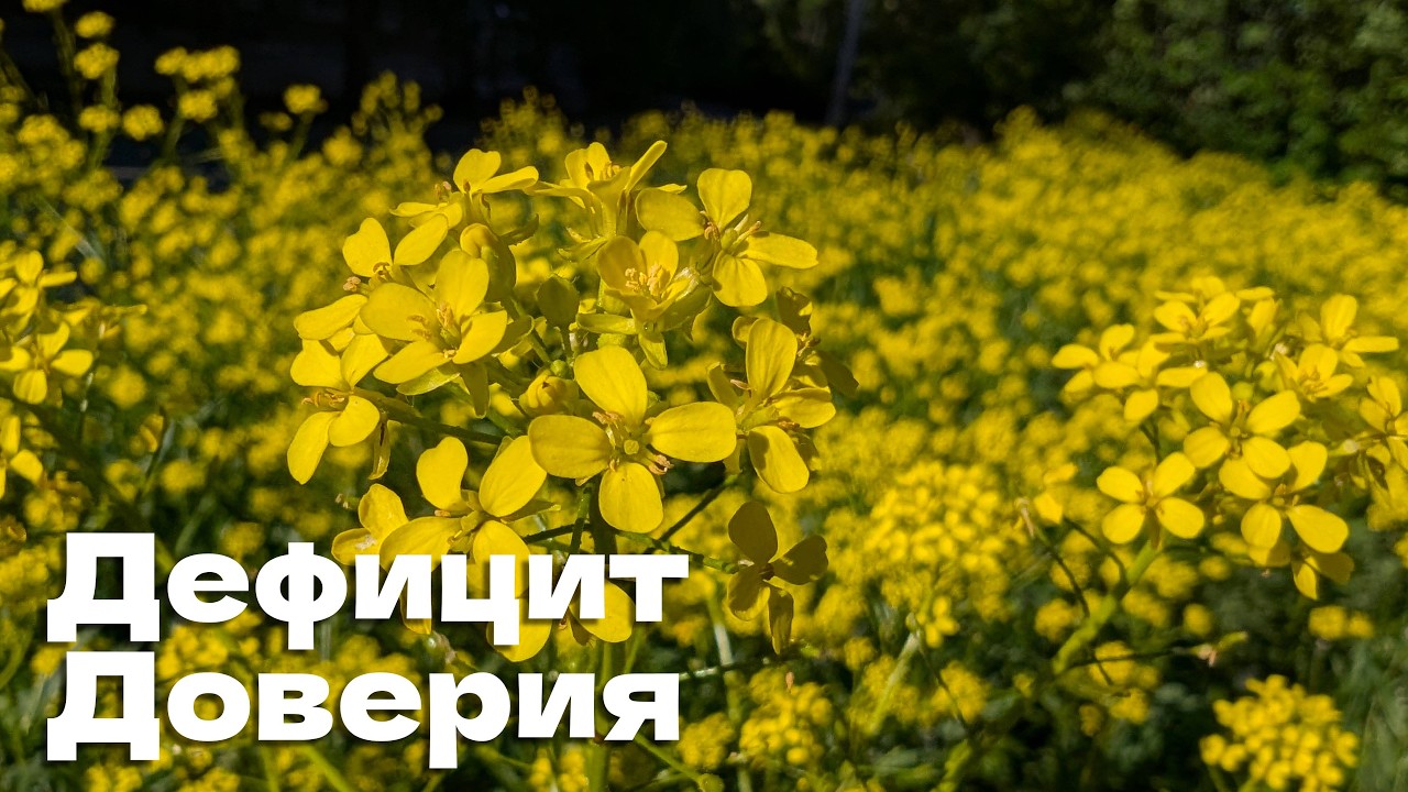 Недостаток доверия к миру.