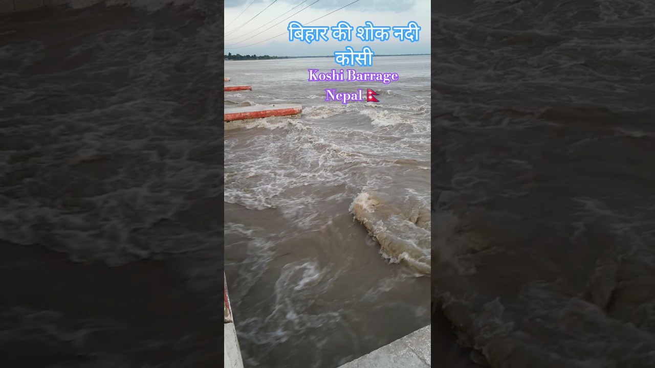Kya bihar dub jaega ❤️ #KoshiBarrage #KoshiRiver #FloodUpdate