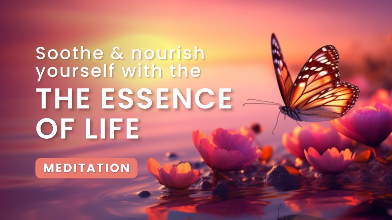 Soothe & Nourish Yourself with the Essence of Life I Meditation Experience