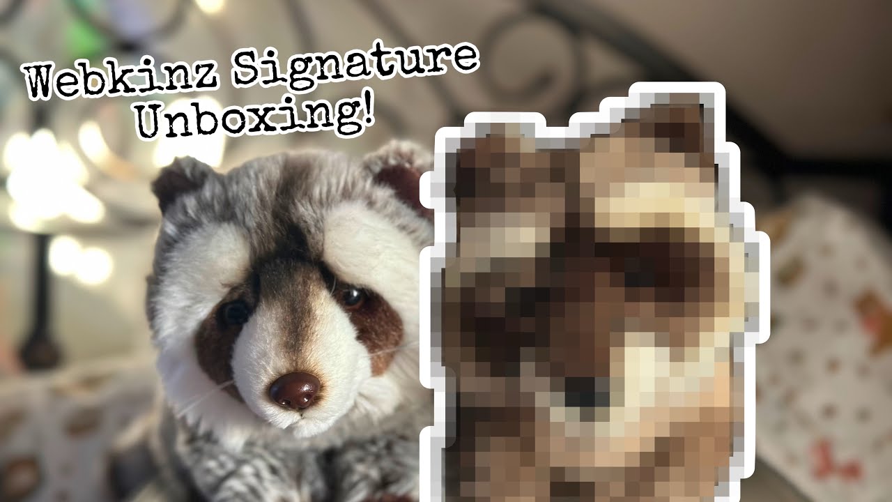 Unboxing Webkinz Signature Woodland Raccoon!