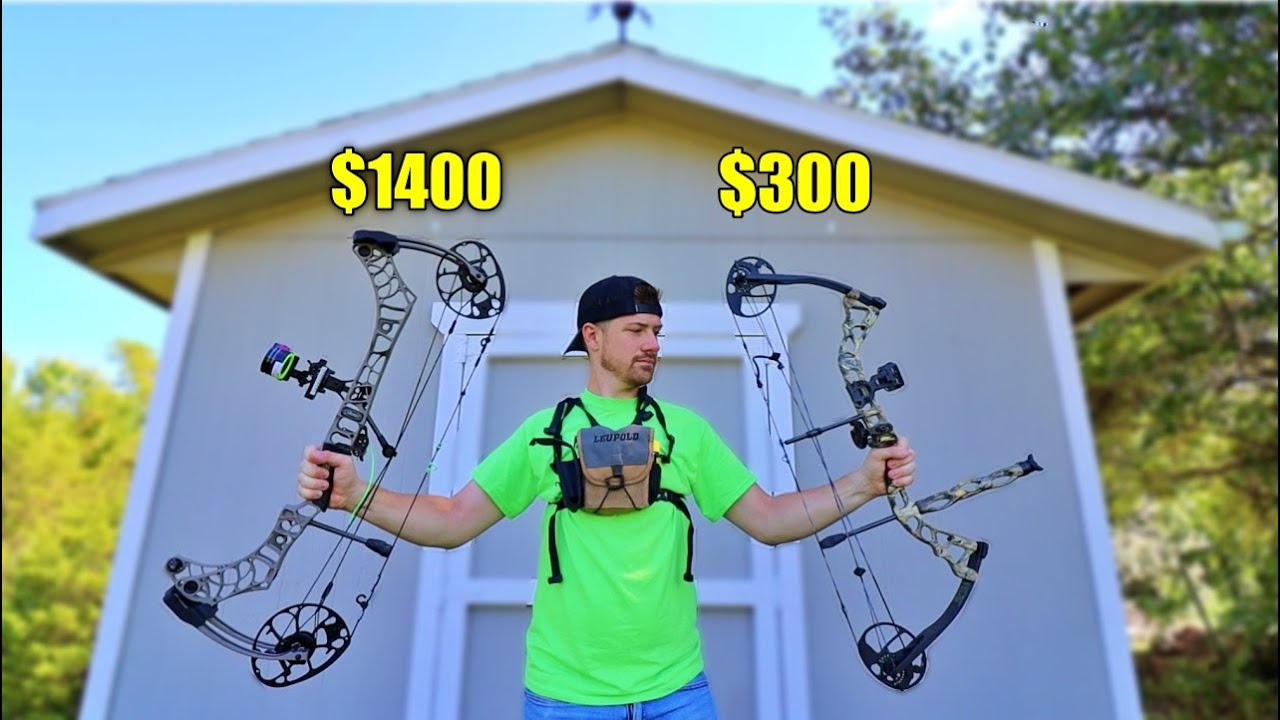 $300 Bow vs $1400 Bow