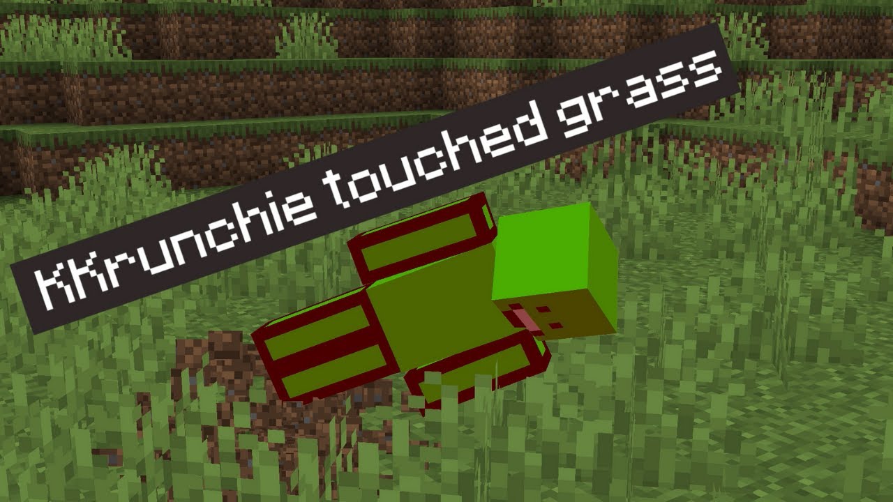 Minecraft, But You Can't Touch Grass...