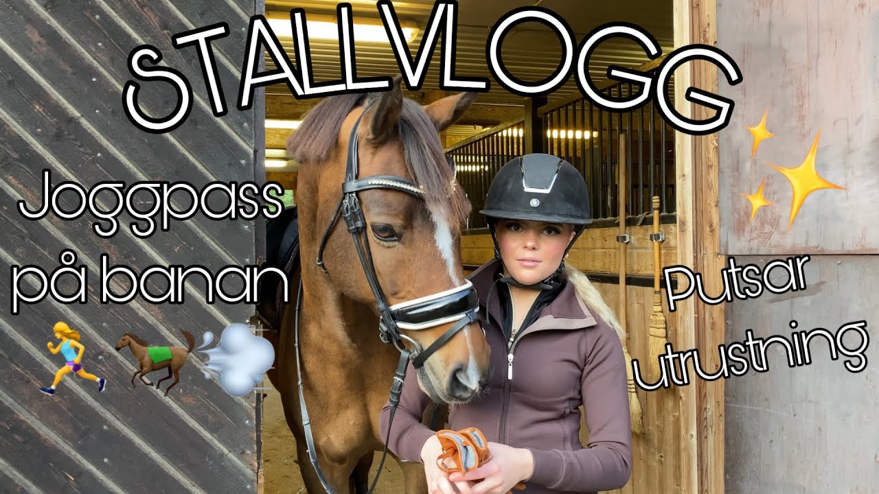 STALLVLOGG - EN VANLIG DAG