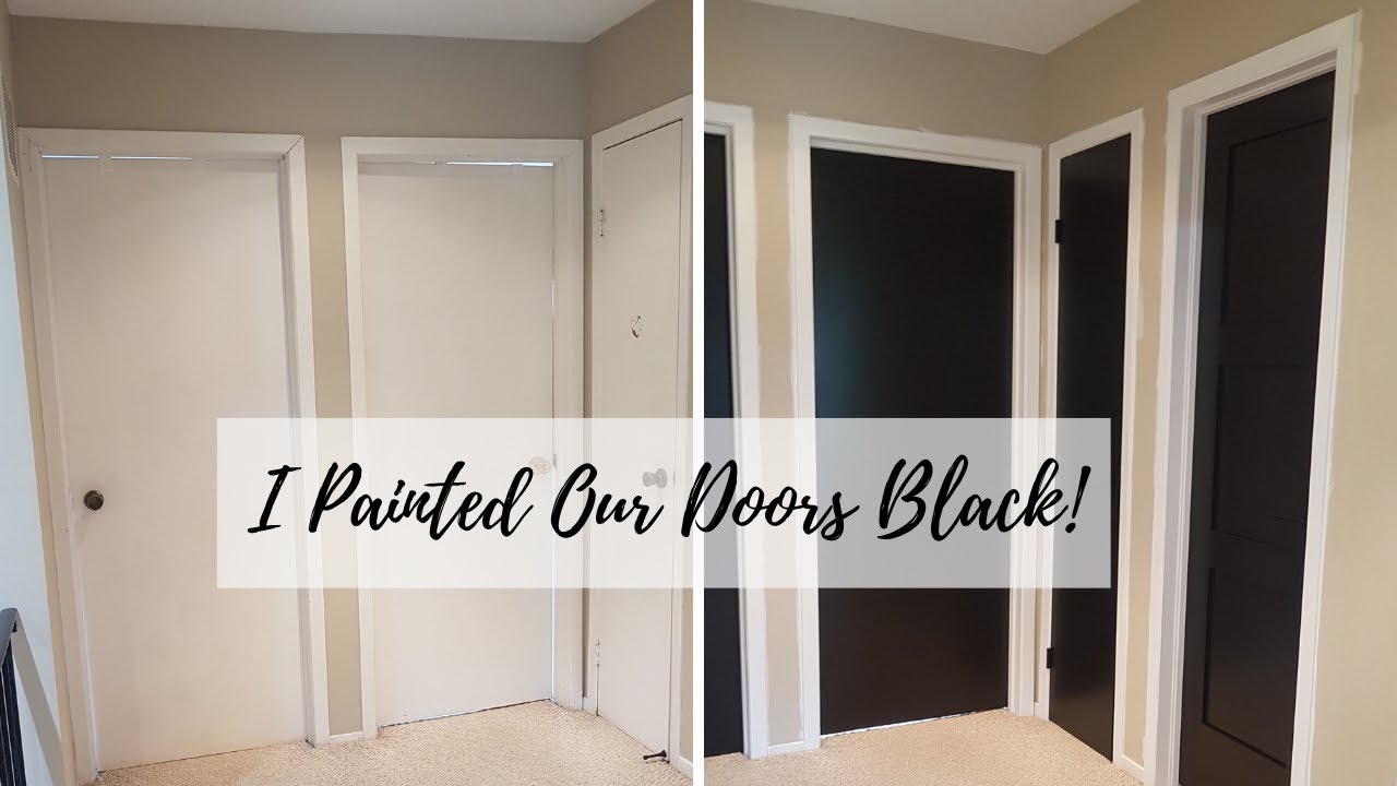 Interior Hollow Core Doors Painted Black