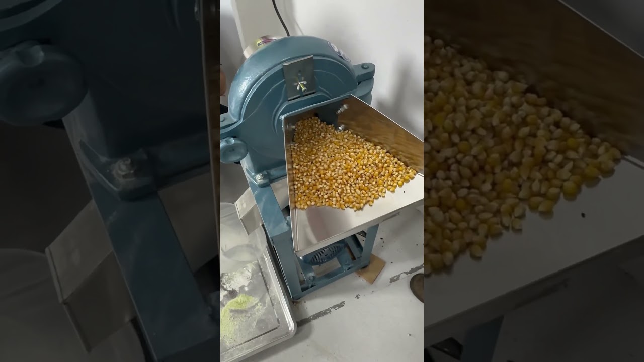Part 1 mesin kisar berteh jagung jadi dedak untuk makanan ayam dan itik