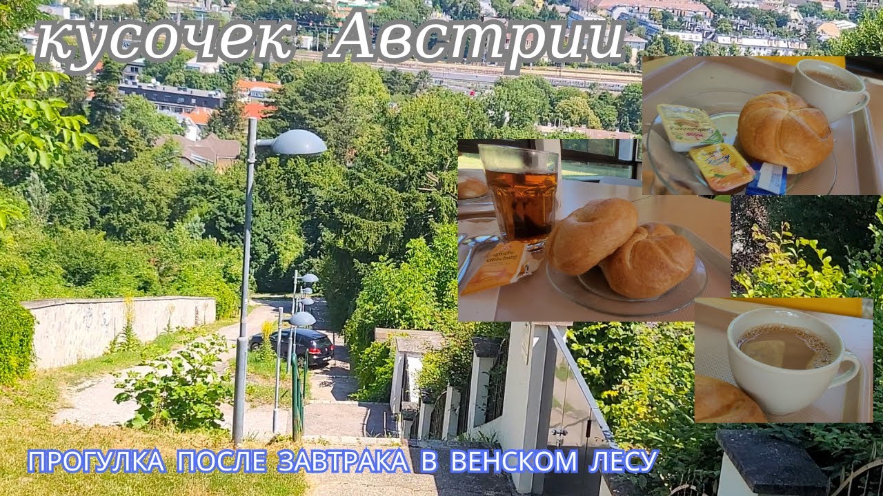 Кусочек Европы. Завтрак, обед в хостеле и прогулка в окрестностях Вены в районе Хюттельдорфа