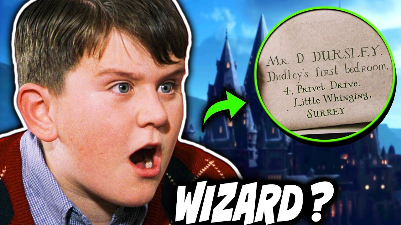 What If Dudley Dursley Went to Hogwarts (A WIZARD?!) - Harry Potter Theory