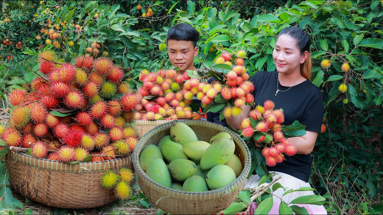 Rambutan drinking and jelly, mango cream is so good | Cooking with sros