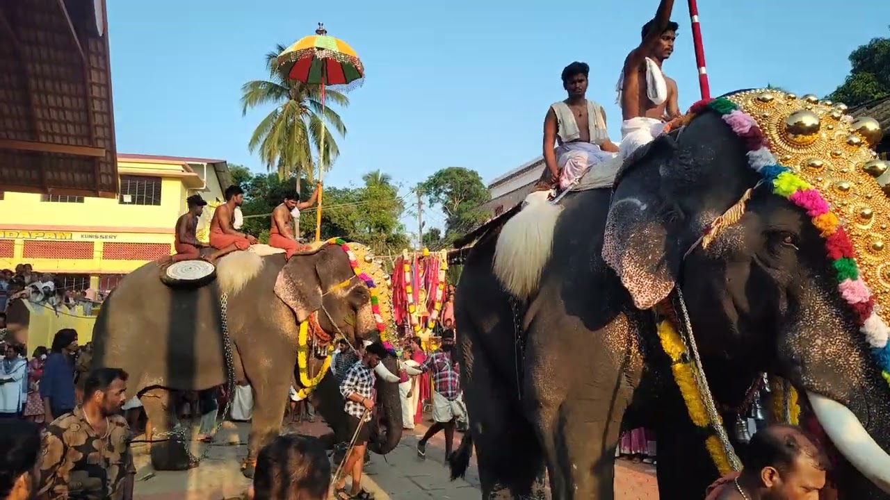 Kunissery Kummatti #festival #kerala #palakkad #2025 #kunissery #kummatti #elephant