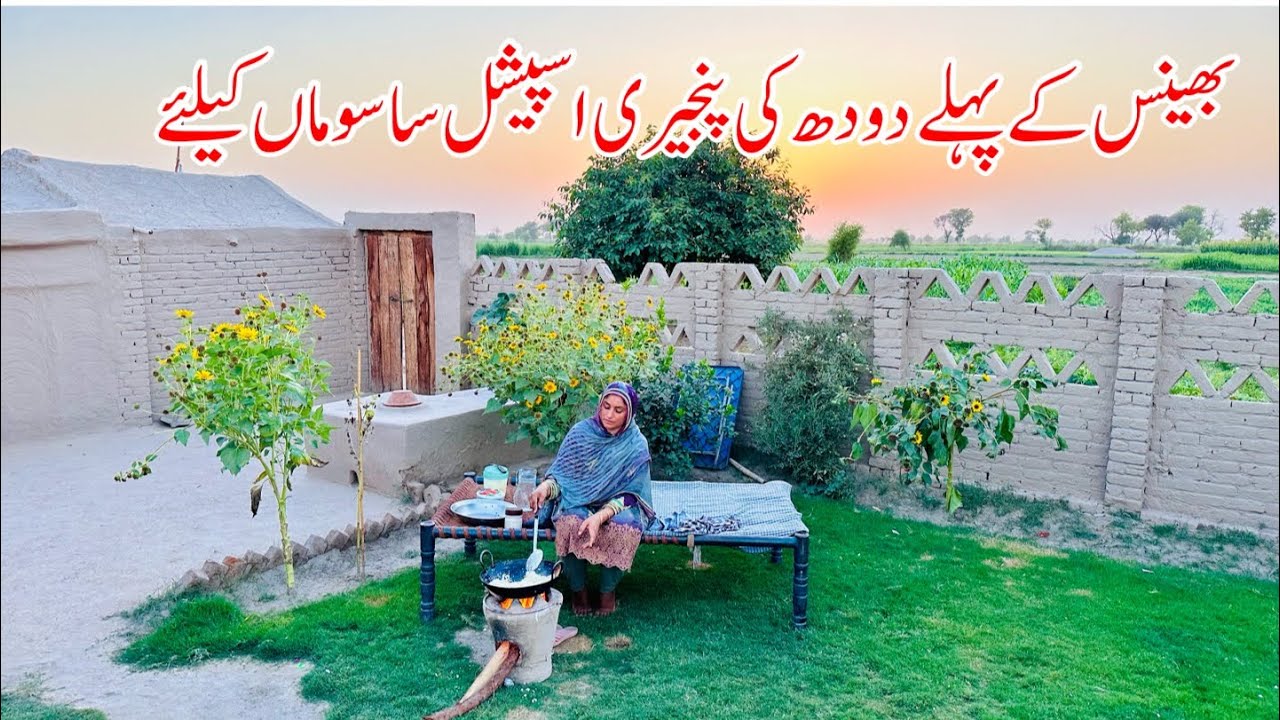 Buffalo First Milk Panjiri Recipe I Mud House Panjiri Recipe I Boli Milk