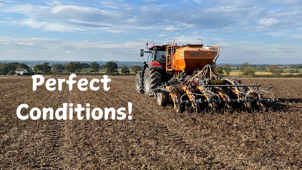 Perfect Spring Drilling Conditions!