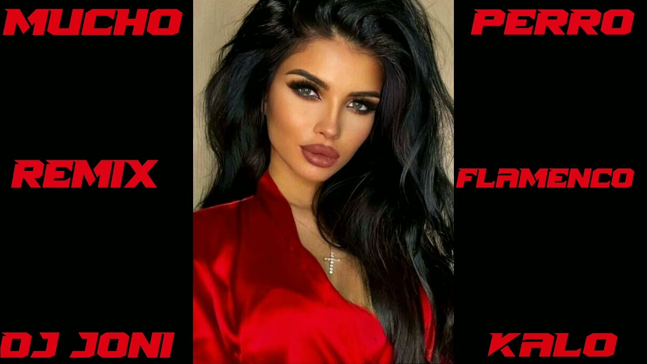 Mucho Perro Remix Flamenco 2023 Dj Joni Kalo