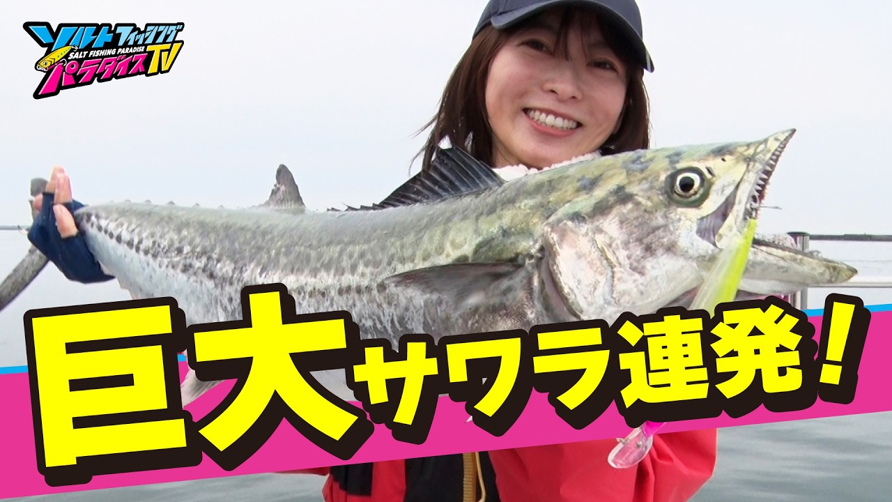 モンスター級サワラ連発！！ミノーかブレードジグか、爆釣パターンは！？（ソルパラTV・2025年5月16日公開）