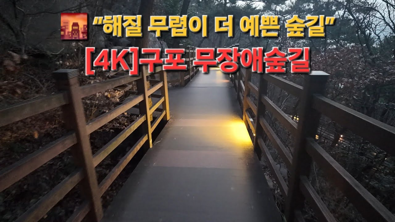 “부산에 이런 숲길이 있다고? 🌲 구포 무장애숲길 35분 힐링 산책 (소리 좋은 숲 ASMR)”