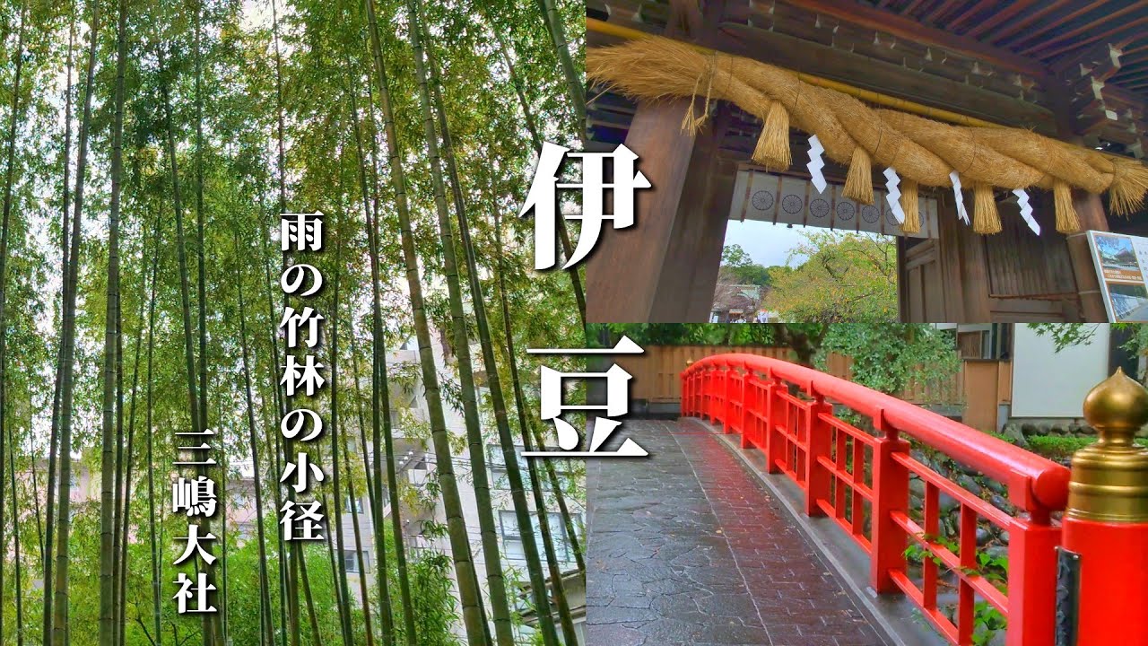 雨の修善寺・竹林の小径を歩く＃情緒ある風景#修禅寺＃三嶋大社＃鹿＃Sightseeing in Shizuoka＃Shuzenji＃Bamboo forest＃Chikurin