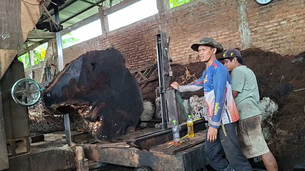 Kayu trembesi bercorak hitam menandakan kayu ini Tua! Lihatlah hasil proses pengergajian