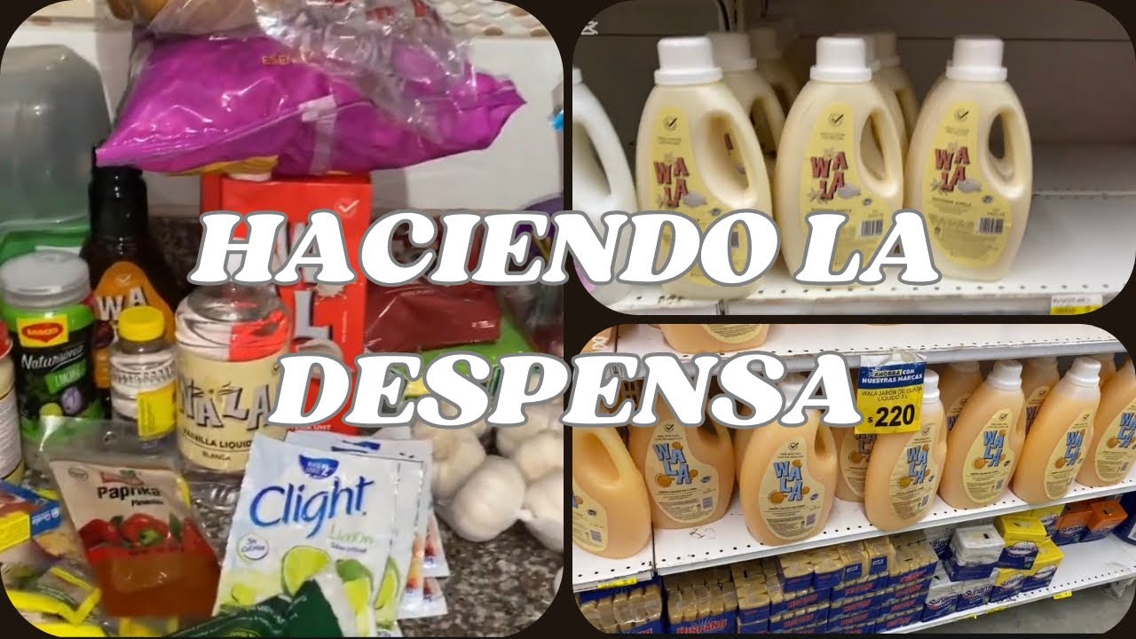 HACIENDO LA DESPENSA 🛒