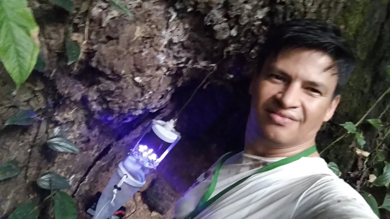 Captura de insectos flebotomíneos (Diptera: Psychodidae)