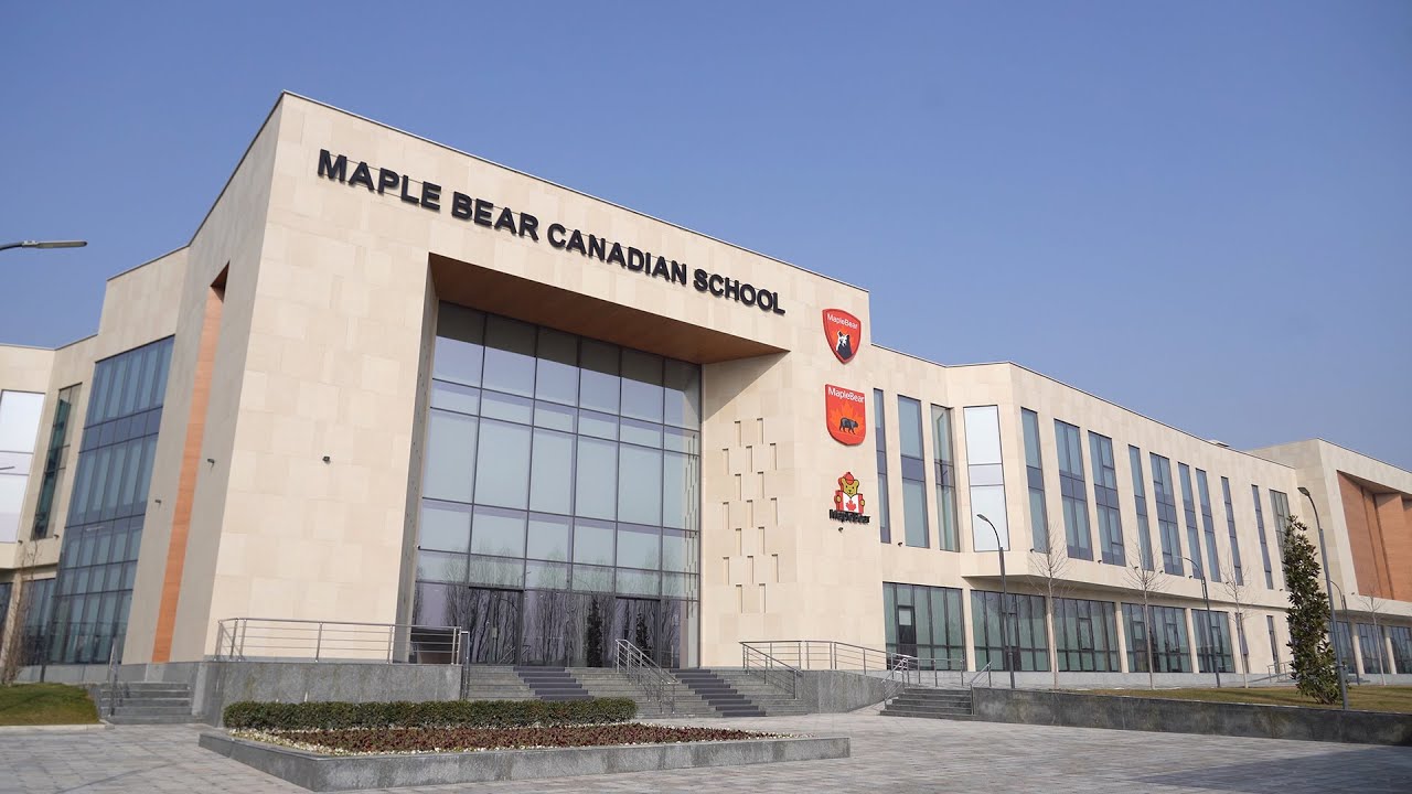 От детского сада до глобального успеха: как Maple Bear Canadian School готовит детей к будущему