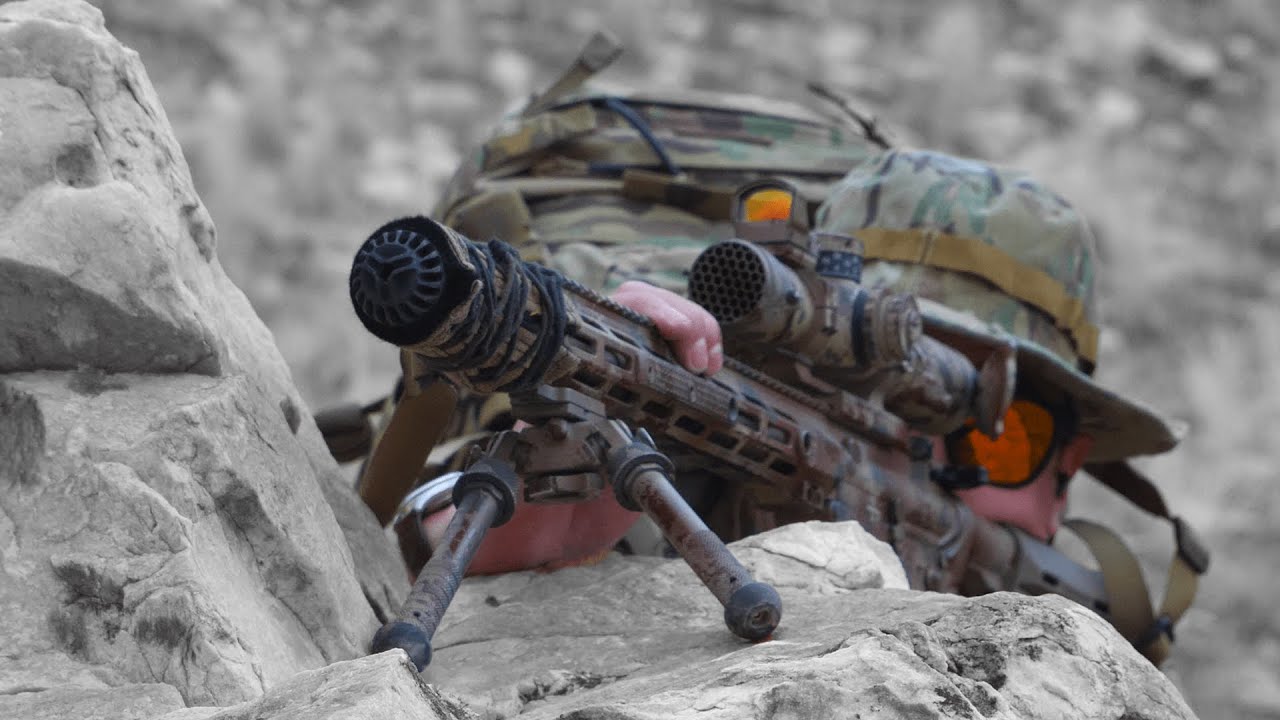 5.56 SPR — боевая или снайперская винтовка?