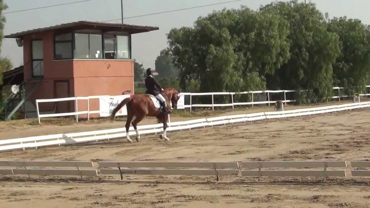 Francesca Giovannini & Up To Date - ripresa E300