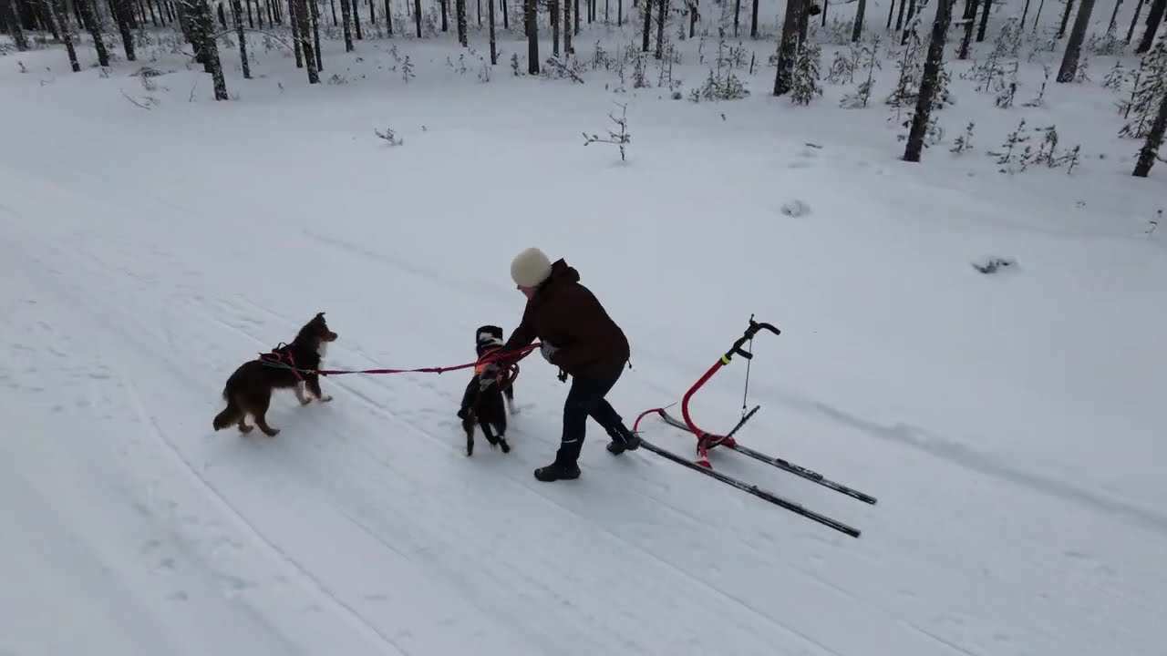 DJI Neo2 på sparktur