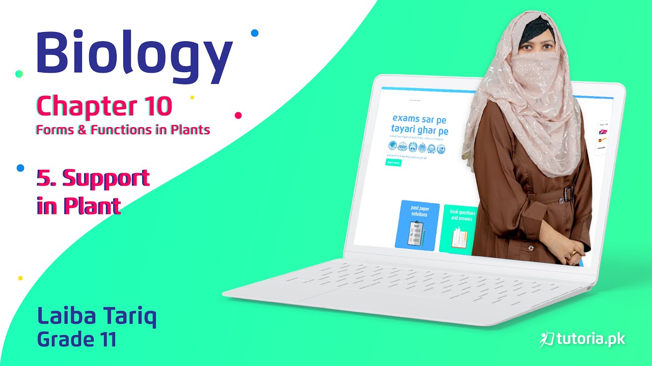 Biology Class 11 | Chapter 10 | Topic 5 | Support in Plant | in urdu | tutoria.pk