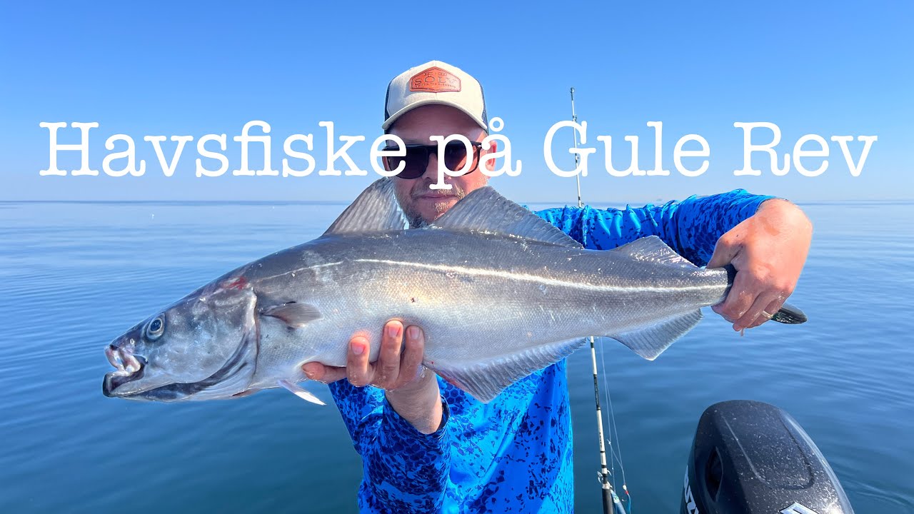 Havsfiske från Västkusten till Gule Rev