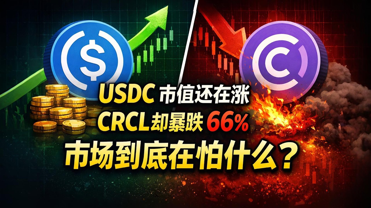 CRCL 暴跌 66%,  USDC 市值还在涨：市场到底在怕什么？#Circle #CRCL #USDC