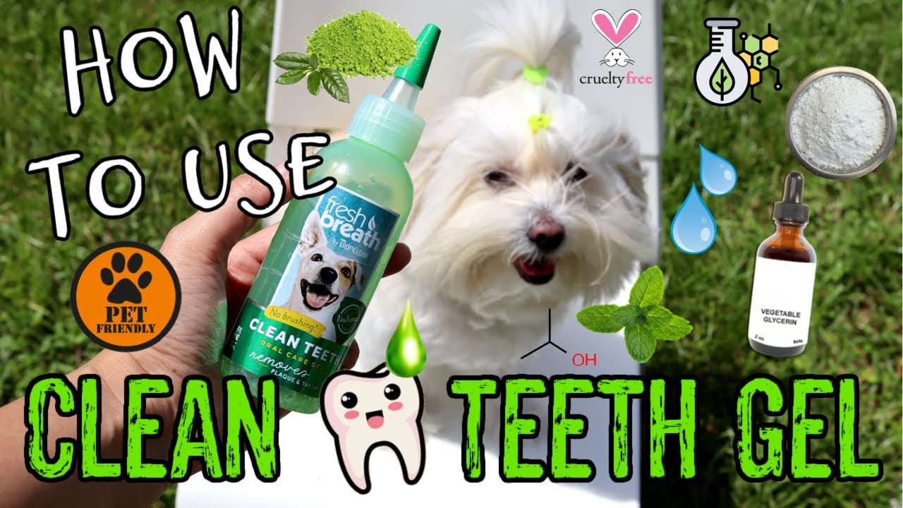 How to use DENTAL GEL FOR DOGS, You don't need brushing teeth I Lorentix