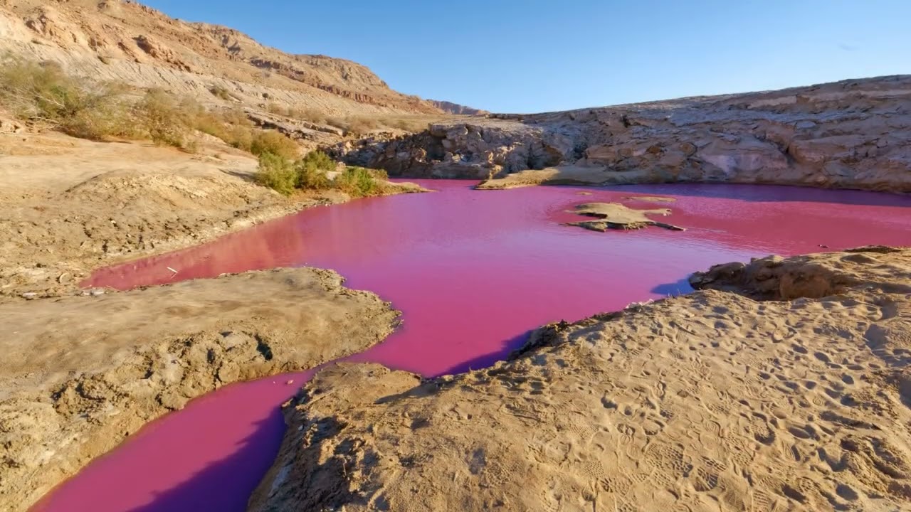 Jordania- różowe jezioro. Marzec 2026