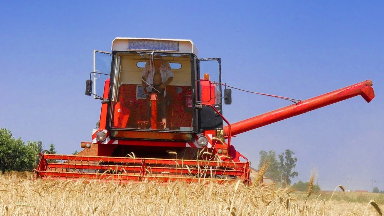 Żniwa 2019 w Wielkopolsce - Bizon Z056|Zetor 7211|Autosan|Wol-Met||
