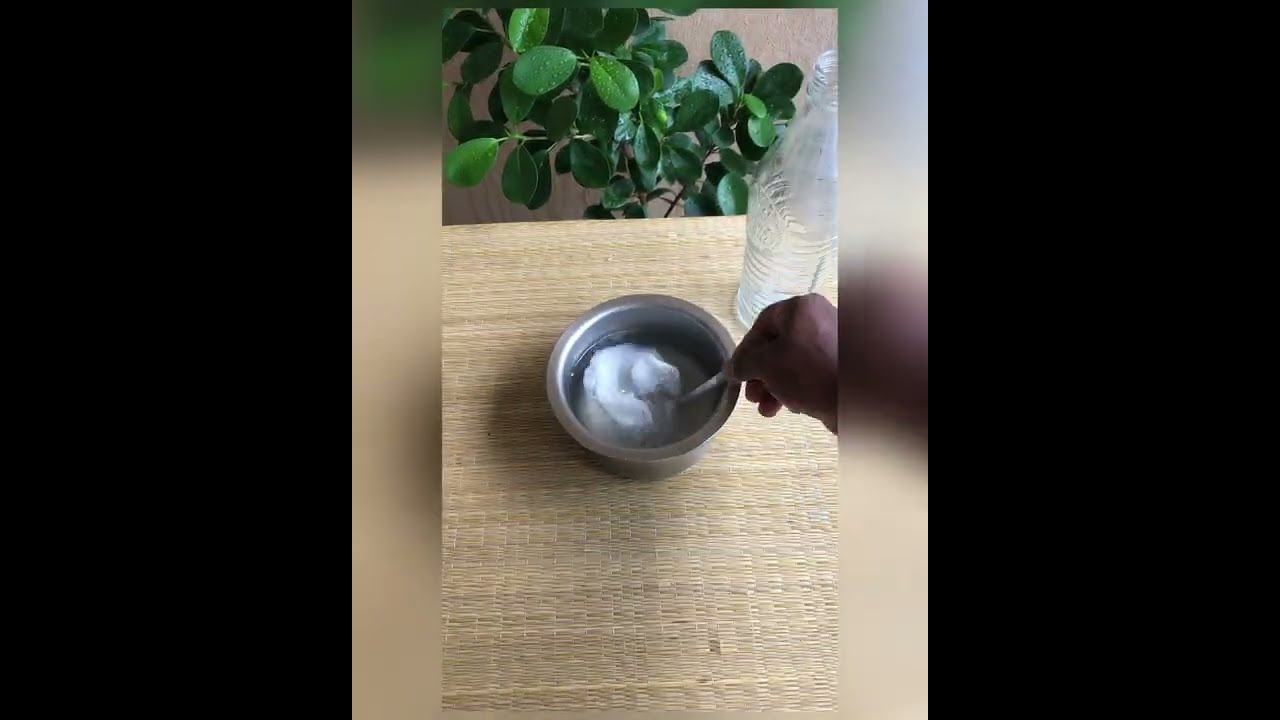 Packaging - made from Tapioca Starch