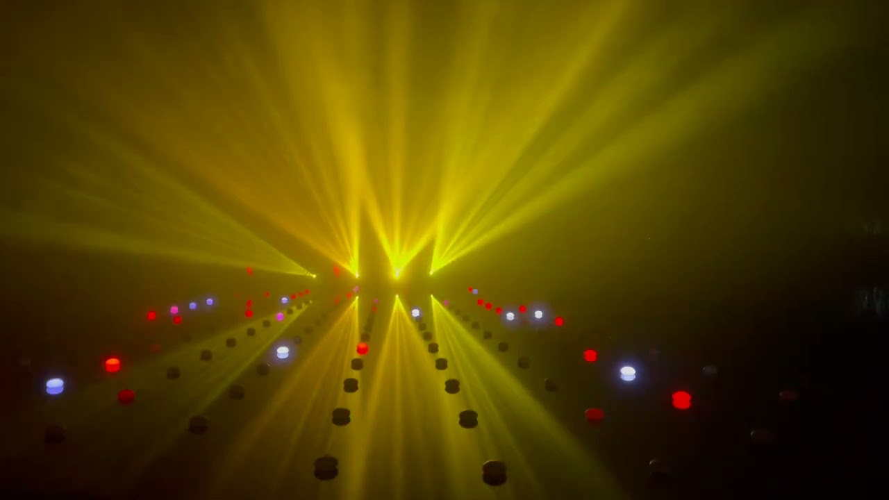 Christmas Light 2025