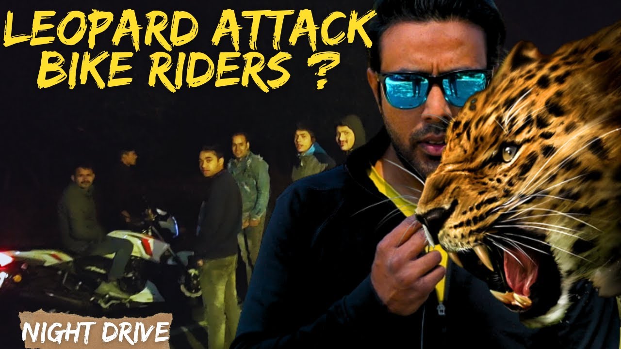 #leopard ने किया Bike Riders पर हमला | Shah Villa Homestay | Corbett National Park