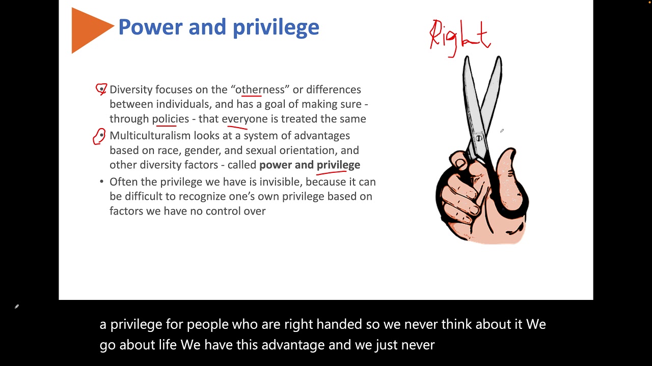 Human Relations: Diversity, multiculturalism, invisible privilege
